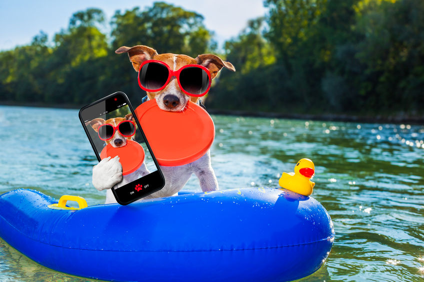 Spring Break for Your Pets!