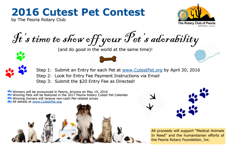 Cutest Pet Contest