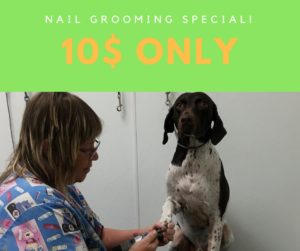 Nail grooming special!